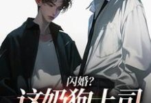 (全文)闪婚？这奶狗上司真难缠（赵芜鱼邓北辰）试读更新章节闪婚？这奶狗上司真难缠免费小说-火箭文学