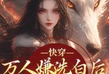 快穿：万人嫌洗白后成香饽饽了完整版小说，快穿：万人嫌洗白后成香饽饽了林观贞裴钧试读更新章节-火箭文学
