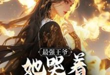 最强王爷：她哭着跟我求和杨凡免费小说最强王爷：她哭着跟我求和推荐完结小说-火箭文学
