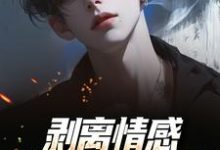 剥离情感,你我用不相爱热门小说排行榜剥离情感,你我用不相爱陆琛免费小说全本-火箭文学