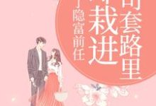 甩了隐富前任，却栽进上司套路里最新完结小说甩了隐富前任，却栽进上司套路里林昭免费小说-火箭文学