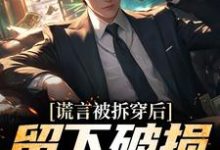 谎言被拆穿后，留下破损的婚姻推荐完结小说谎言被拆穿后，留下破损的婚姻(张齐)免费小说全本-火箭文学