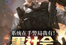 系统在手警局我有!黑社会瑟瑟发抖热门小说排行榜系统在手警局我有!黑社会瑟瑟发抖吕川免费小说全本-火箭文学