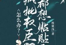 (全文)怎么办？疯批权臣每天都想贴贴我完结小说推荐顾轻舟全本书籍阅读-火箭文学