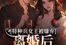 特种兵女王被嫌弃，离婚后马甲爆了推荐完结小说，特种兵女王被嫌弃，离婚后马甲爆了乔沁顾沉霆免费小说全本-火箭文学