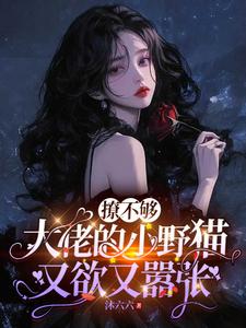 (全文)撩不够，大佬的小野猫又欲又嚣张(陆晨矅)全本免费在线阅读