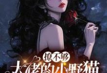 撩不够，大佬的小野猫又欲又嚣张陆晨矅完结小说推荐，撩不够，大佬的小野猫又欲又嚣张全章小说阅读-火箭文学