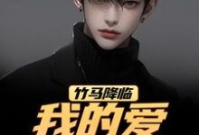(全文)竹马降临，我的爱瞬间扫地完结小说推荐江书正全本书籍阅读-火箭文学