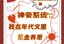 (全文)神豪系统:我在年代文里氪金养崽叶晓琳最新完结小说神豪系统:我在年代文里氪金养崽免费阅读-火箭文学