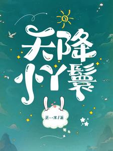 天降小丫鬟夏夏完结小说推荐天降小丫鬟全本书籍阅读