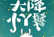 (全文)天降小丫鬟(夏夏)试读更新章节天降小丫鬟免费小说-火箭文学