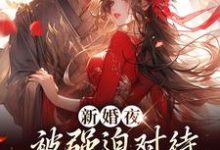 新婚夜被强迫对待，这叫不近女色？谢临珩虞听晚最新完结小说，新婚夜被强迫对待，这叫不近女色？全本免费在线阅读-火箭文学