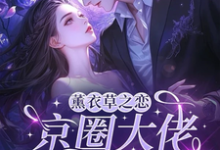 薰衣草之恋，京圈大佬暗恋我热门小说排行榜薰衣草之恋，京圈大佬暗恋我宁清灵免费小说全本-火箭文学