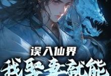误入仙界,我娶妻就能天下无敌完整版小说,误入仙界,我娶妻就能天下无敌许世安试读更新章节-火箭文学