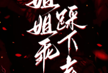 姐姐乖，踩下去黎昭月完结小说推荐，姐姐乖，踩下去全章小说阅读-火箭文学