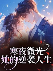 袁小苔寒夜微光：她的逆袭人生全本免费在线阅读