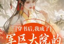 穿书后,我成了军区大院的暴力团宠(南汐)小说推荐穿书后,我成了军区大院的暴力团宠全章小说阅读-火箭文学