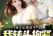 重生后要奋斗？我转头抱紧富婆大腿最新章节阅读重生后要奋斗？我转头抱紧富婆大腿(李子玉)试读更新章节-火箭文学