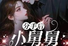 分手后，小舅舅夜夜洗床单完整版小说，分手后，小舅舅夜夜洗床单沈锦悦试读更新章节-火箭文学