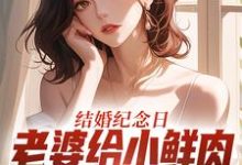 结婚纪念日，老婆给小鲜肉打榜应援推荐完结小说，结婚纪念日，老婆给小鲜肉打榜应援叶一帆免费小说全本-火箭文学