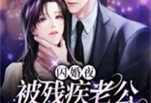 (全文)闪婚夜，被残疾老公撩到腿软免费小说全本，夏雨惜试读更新章节-火箭文学