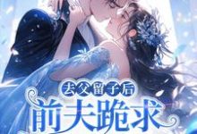 去父留子后，前夫跪求伺候我月子！林亦棠最新完结小说，去父留子后，前夫跪求伺候我月子！全本免费在线阅读-火箭文学