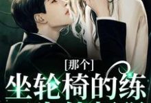 那个坐轮椅的练习生他超强江北生完结小说推荐那个坐轮椅的练习生他超强全本书籍阅读-火箭文学