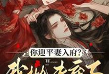 宋锦书你迎平妻入府？我抛夫弃子嫁暴君全本免费在线阅读-火箭文学