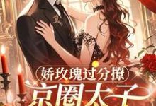 娇玫瑰过分撩，京圈太子底线全抛（邓恩雅）全本书籍阅读娇玫瑰过分撩，京圈太子底线全抛完整版小说-火箭文学