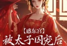 惑东宫:被太子囚宠后,她权倾天下(陆菀音)全章小说阅读-火箭文学