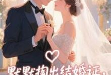 默默掏出结婚证,我的老公好奶宋禧热门小说排行榜默默掏出结婚证,我的老公好奶免费小说-火箭文学