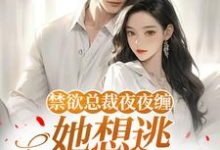 禁欲总裁夜夜缠，她想逃却逃不掉​​（温澜）全本书籍阅读禁欲总裁夜夜缠，她想逃却逃不掉​​完整版小说-火箭文学