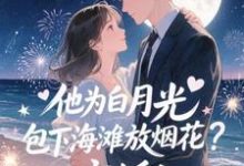 他为白月光包下海滩放烟花？离婚！霍宴州云初最新完结小说，他为白月光包下海滩放烟花？离婚！全本免费在线阅读-火箭文学