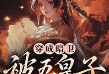 萧争穿成暗卫,被五皇子甜宠拐跑全本免费在线阅读-火箭文学