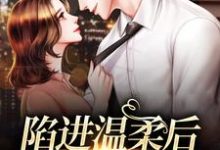 (全文)陷进温柔后，他宠上瘾了甘棠许应最新完结小说陷进温柔后，他宠上瘾了免费小说全本-火箭文学