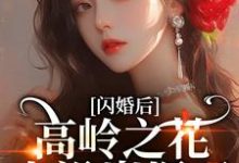 (全文)闪婚后，高岭之花人设崩塌了（苏酥）全本书籍阅读闪婚后，高岭之花人设崩塌了免费小说全本-火箭文学