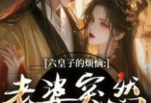 六皇子的烦恼:老婆突然不瞎了(谢成君)小说推荐六皇子的烦恼:老婆突然不瞎了全章小说阅读-火箭文学