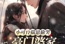 小可怜揣崽偷哭，豪门婆家来团宠（苏念念）全本书籍阅读小可怜揣崽偷哭，豪门婆家来团宠完整版小说-火箭文学