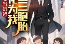 毕业当奶爸：校花为我生了三胞胎顾琛热门小说排行榜毕业当奶爸：校花为我生了三胞胎免费小说-火箭文学