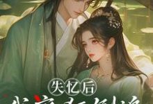 失忆后，我疯狂倒追冷面世子最新完结小说失忆后，我疯狂倒追冷面世子沈云桉免费小说-火箭文学