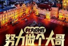 身为卧底，努力做个大哥不过分吧完整版小说，身为卧底，努力做个大哥不过分吧白舟全章小说阅读-火箭文学