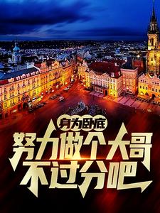 身为卧底，努力做个大哥不过分吧白舟最新完结小说，身为卧底，努力做个大哥不过分吧全本免费在线阅读