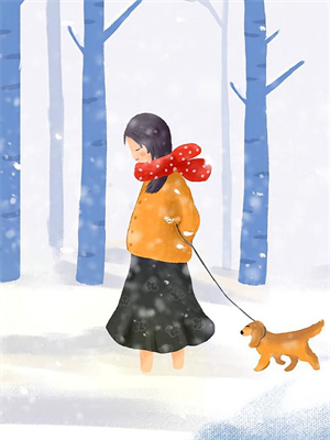 此爱已随风雪消融苏若宸贺如雪小说完结版章节在线阅读