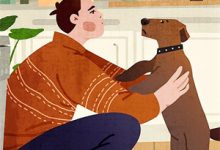 退学后,她被军方大佬盯上了晏临晞裴御沉,退学后,她被军方大佬盯上了在线无弹窗阅读-火箭文学