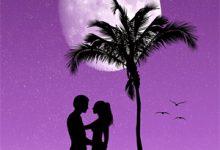 完结版《骂我高攀首长?老婆奴哑巴老公急到开口》在线免费阅读-火箭文学