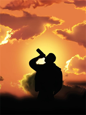 旧窗藏衍，晚星归巷（苏晚星陆时衍）在线免费阅读