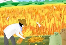 寻找望不穿月影西沉小说的最新更新章节-火箭文学